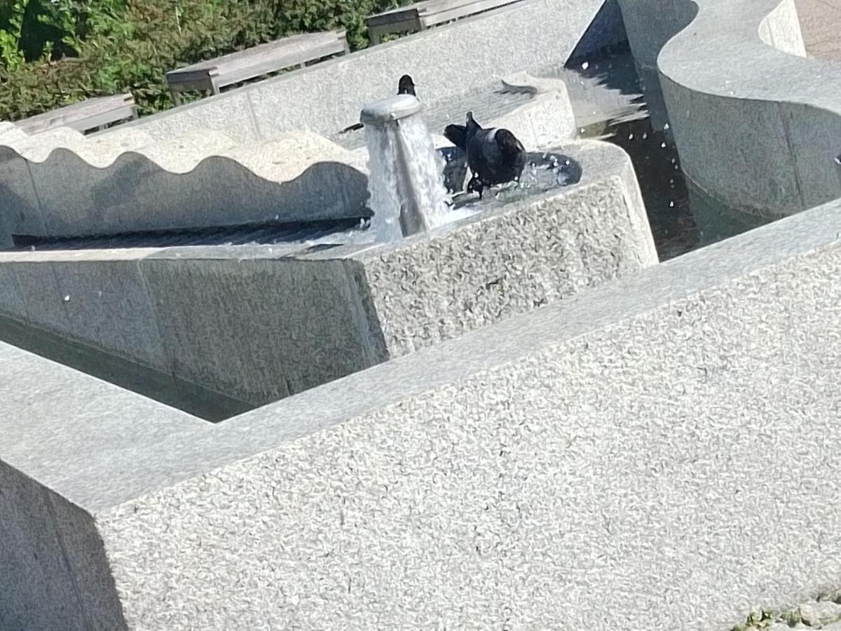 Dreapart Pruszcz Gdański Exteriér fotografie